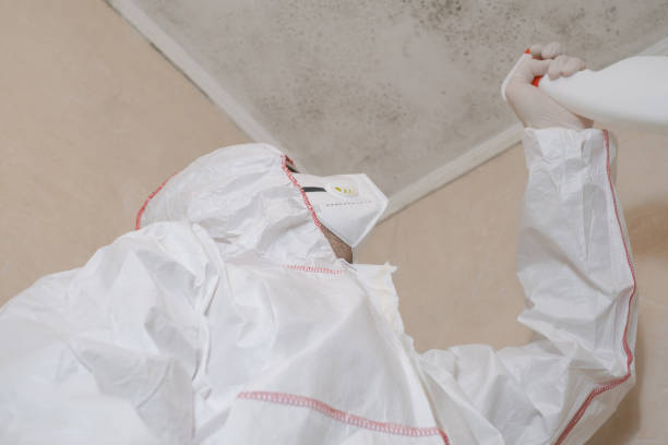 Best Mold Remediation for Rental Properties  in Holmen, WI